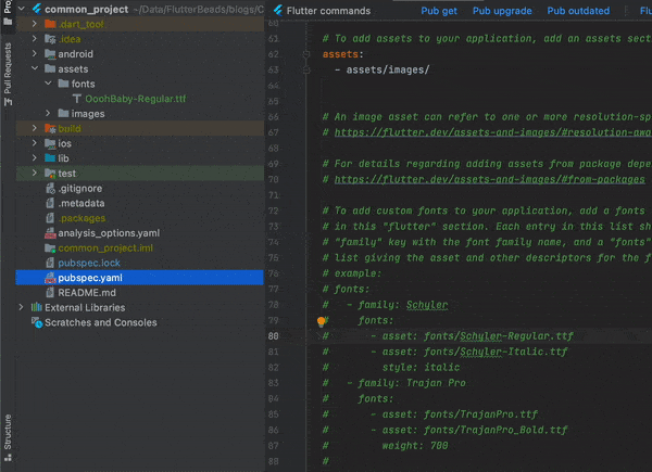 Add Font to Pubspec.yam