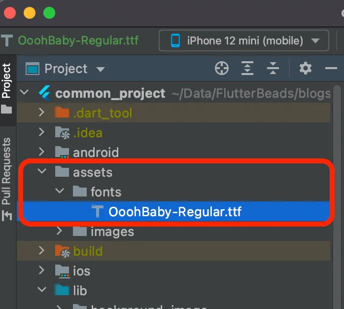 importing font into project