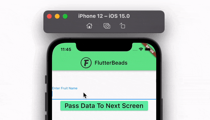 Pass Data to Stateful Widget in Flutter demo