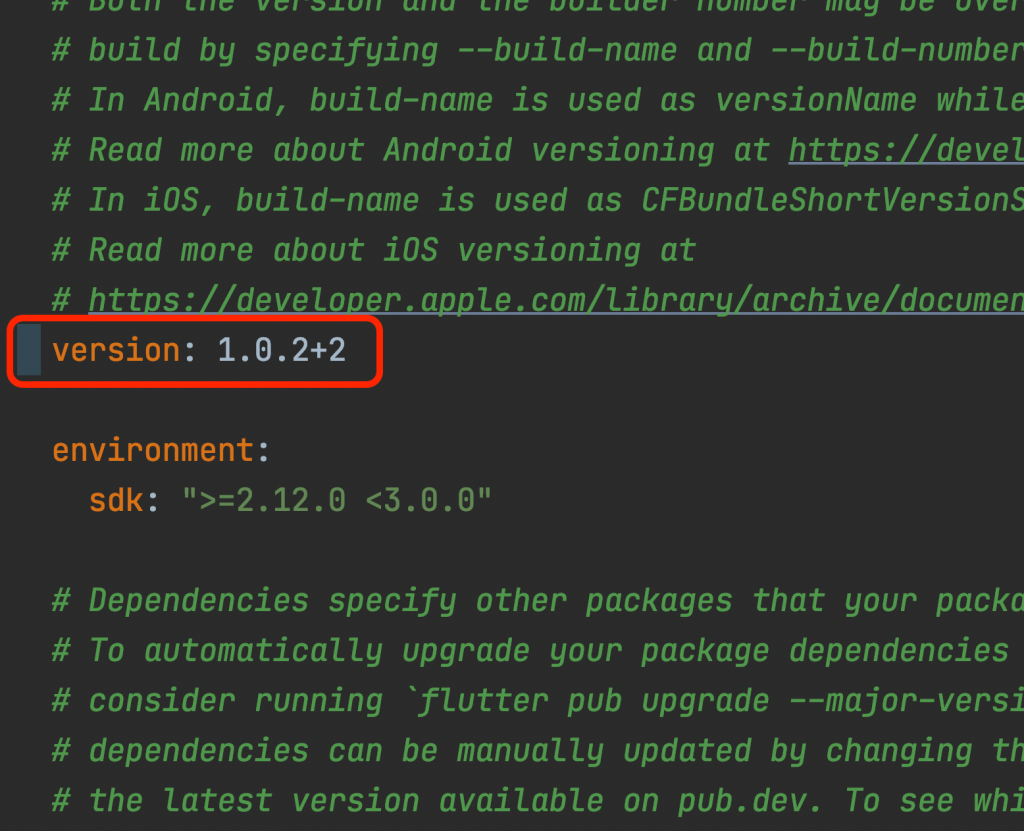 update app version in flutter